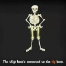 The Skeleton Dance 이미지