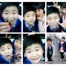 ㈜코비 | [가족뮤지컬 - 캣 조르바] 엠버 로이와 조르바 만나고 왔어요 ^^ / 국립중앙 박물관 - 극장 용