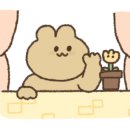 여의신광한의원 네이버블로그