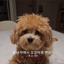 멍뜰리에 네이버블로그