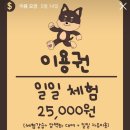 클라이밍 업더월 일산점
