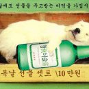 이** - 8198 | 이**