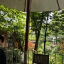 에미뜨의원 이미지