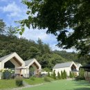 메리도그 이미지