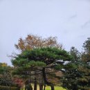 송추골프장 클럽하우스 | 송추CC 그린스피드 3.6 실화? 서울근교 포대그린 골프장 후기