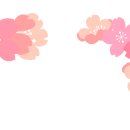 봄어린이집 이미지