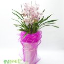 강천기 이미지