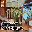집순이 답지 않은 일상