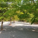 늘푸른계곡 이미지