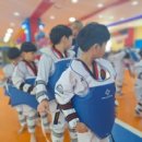 우현튼튼태권도장 이미지