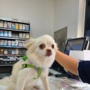 여울풀빌라 이미지