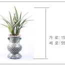 하양농업협동조합 이미지