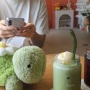 진남된섬(모바일) | [1일차] 미야코지마 시모지/이라부섬 여행 코스 총 정리 (로컬 맛집 &amp; 바다 인생샷 스팟)