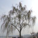 버드모아 이미지