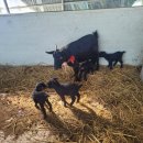 승우농장 이미지