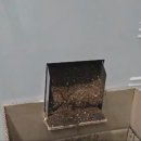 한빛병원 집단급식소 | 생선뼈·꽃게 껍데기도 처리되는 산업용음식물처리기 대용량