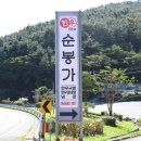 순봉가 이미지