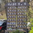 주노코스 이미지