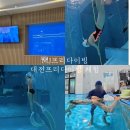 대전복용초등학교 | 대전 프리다이빙 강습 후기｜엠제이 프리다이빙 초보도 가능한 프리다이빙 체험 솔직후기