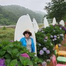 리산애 감성여행 이미지