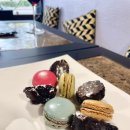 곰셰프네 이미지