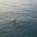 애니카랜드삼산점 이미지