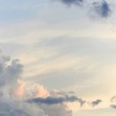 선물같은 하루 이미지