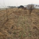 도촌 2농장 이미지