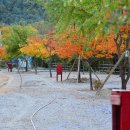 가평물골숲계곡캠핑장 이미지