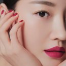 SA 코리아헤럴드