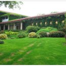 엽차엽차 이미지