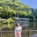 누네트안경 | 처음 가본 일본