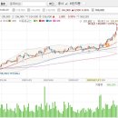 준이아붓님의 탁월한 선택..(삼성 SDI) 이미지