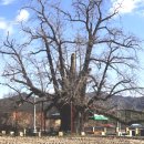 두곡리경로당 이미지