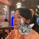 정아호프 이미지