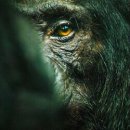 그루밍포유 이미지