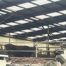 철이네 촌캉스 | 경주 애견 동반 촌캉스 펜션 힐링 숙소 [철이네]