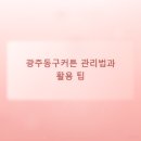 광주버티칼