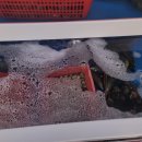 고덕야식 이미지