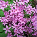 호프1번지 이미지