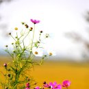 어느멋진날에 1 이미지