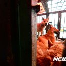 황구건강원 - 진주시 촉석로 120 | 황구건강원