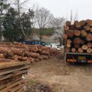 황토와소나무 이미지