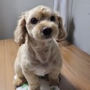 구찌 여자친구와함께 이미지