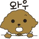 리본반려견 유치원 이미지