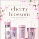 체리블라썸 이미지