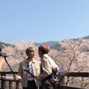 박우진 카카오 검색결과