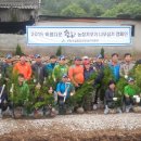 한돈농장 이미지