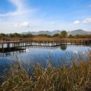 낙동야구장 2 이미지