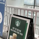 (주)씨스페이시스 지산중앙점 | 지산리조트 스키장 카페 J-Park 스타벅스 오픈